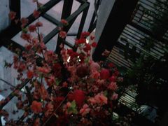 -湘邻呷铺·田园家宴(汉基广场店)