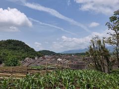 -上甘棠村