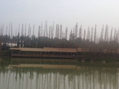 -秀丽东方