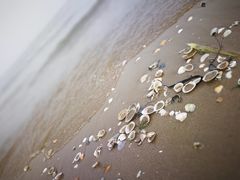 -北戴河圣蓝海洋公园