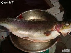 -三文彩虹鳟鱼庄
