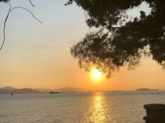 -鼓浪屿钢琴博物馆