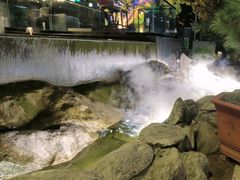 -蘇河湾·新鲁菜·泰山宴(泰山店)