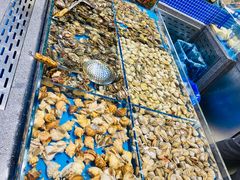 -半岛听涛蒸汽海鲜自助(K11店)