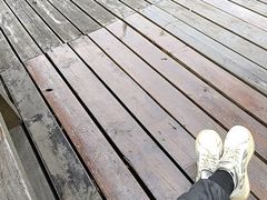 -苏州太湖国家湿地公园