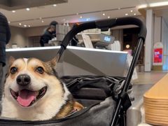 -M Stand(宁波万象城店)