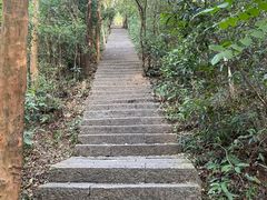 -梧桐山风景名胜区