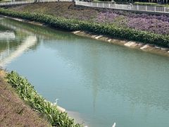 -福田红树林生态公园