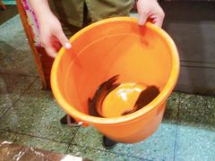 -粗粮人家·东北菜(洋桥店)