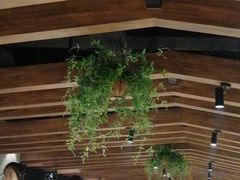 大堂-盛江山自助料理(奥莱锦辉购物广场店)