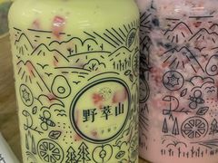 -野萃山·潮汕厚果汁(十亩地店)