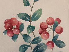 -六出私塾LiuChu•成人美术书法系统课程专业画室(熊婆婆的花园店)