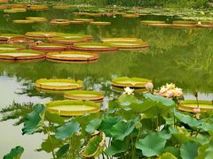 -国家植物园南园