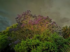 -悉尼歌剧院