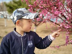 -永定河休闲森林公园