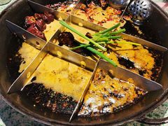 -五里关火锅(牛市口店)