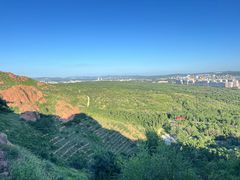 -红山国家森林公园