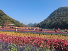 -广州市石门国家森林公园