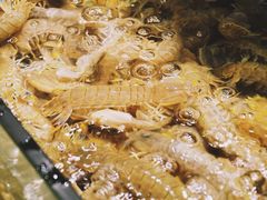 -韩记海鲜饺子旗舰店(红海新区店)