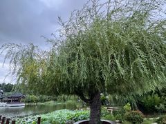 -威海华夏城景区