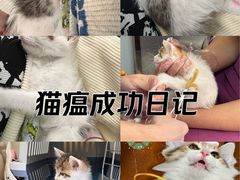 -酷宠动物医院(天通西苑店)