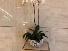 -武汉马哥孛罗酒店