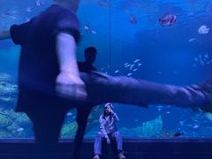 -暹罗海洋世界