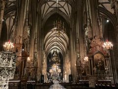 -斯蒂芬主教座堂(Stephansdom)