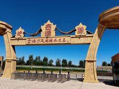 -金塔沙漠胡杨林景区