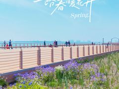 -东疆建设开发纪念公园