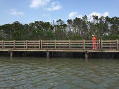 -东寨港红树林旅游区