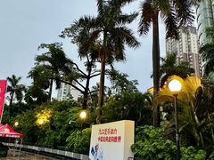 -珠江夜游广州塔·中大码头