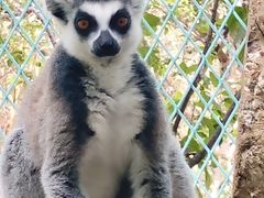 -水上乐园·欢乐世界