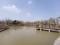 -盐城丹顶鹤湿地生态旅游区