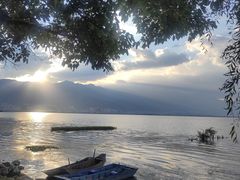 -洱海月湿地公园