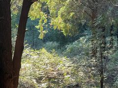 -青州市云门山风景区