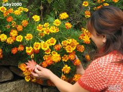 -丹东天桥沟景区