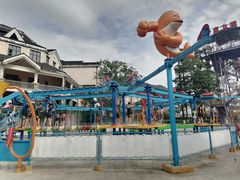 -重庆海昌加勒比海水世界