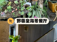 -野菌皇海景野生菌火锅(滨海大道店)