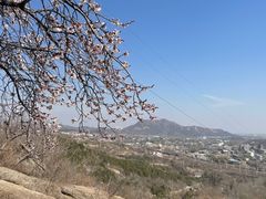 -白水寺森林公园