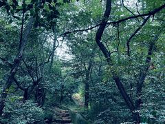 -云峰山自然风景区