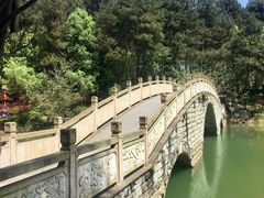 -铁山坪森林公园