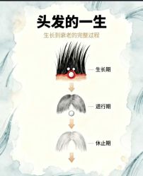 -Bollins波林丝•专研护发中心