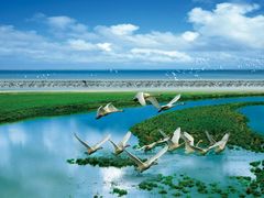 -鄱阳湖国家湿地公园