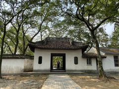 -上海佘山国家森林公园天马山园