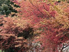 -苏州太湖湖滨国家湿地公园