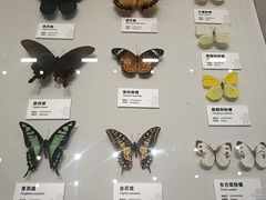 -四川大学(望江校区)