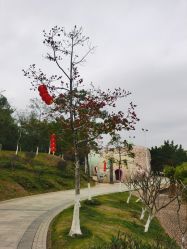 -番禺儿童公园