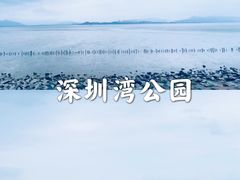 -深圳湾公园(南山区)