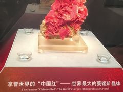 -湖南省地质博物馆